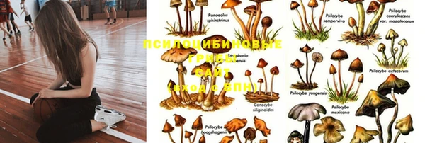 кристаллы Магадан