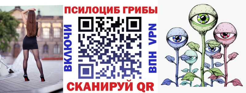 shop официальный сайт  Вытегра  Псилоцибиновые грибы Psilocybine cubensis 